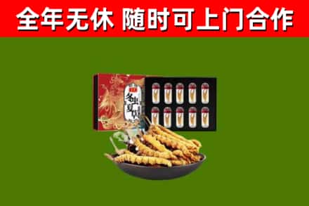 良庆区回收冬虫夏草价格